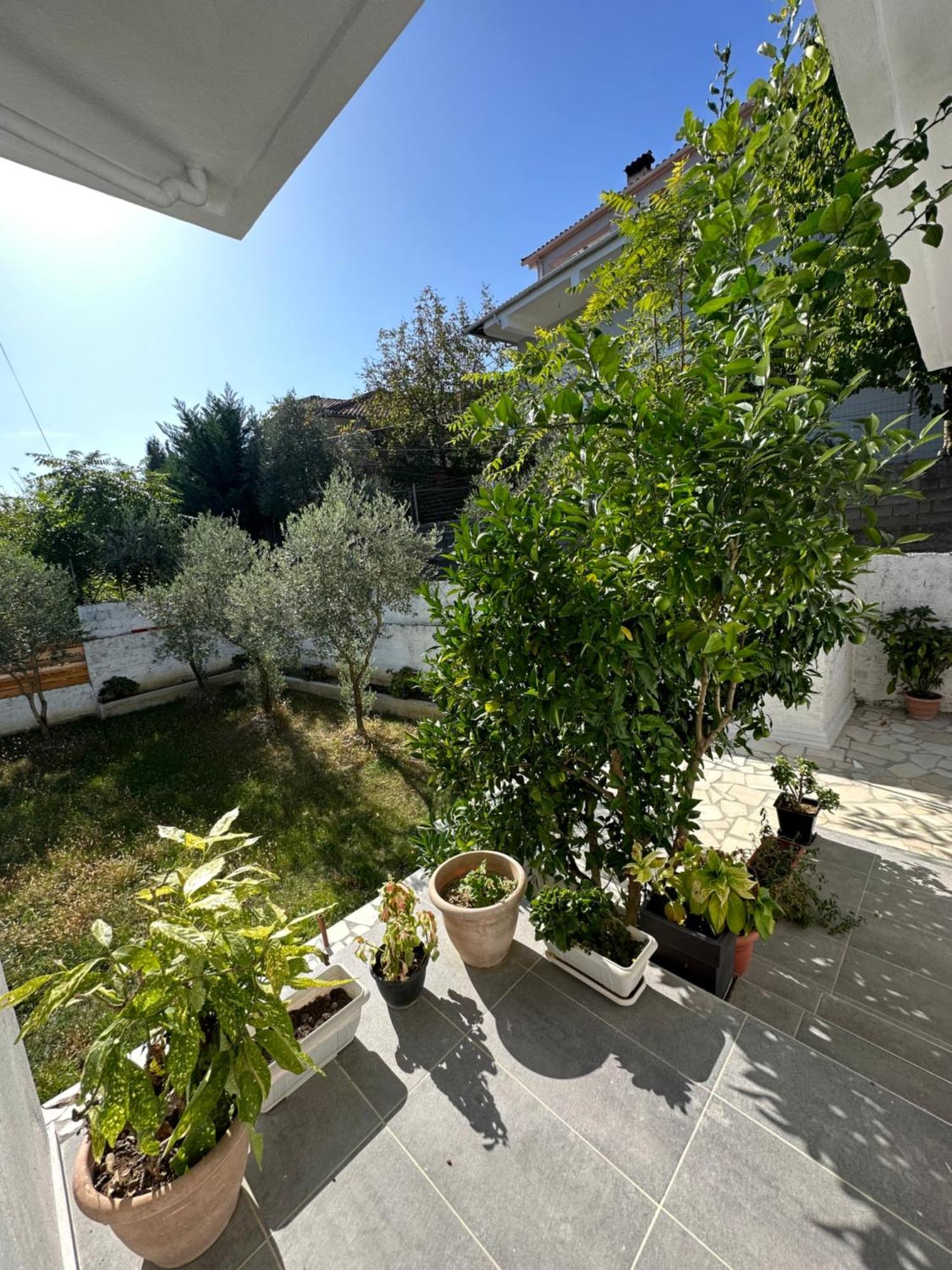 Villa Braho Gjirokastër Esterno foto