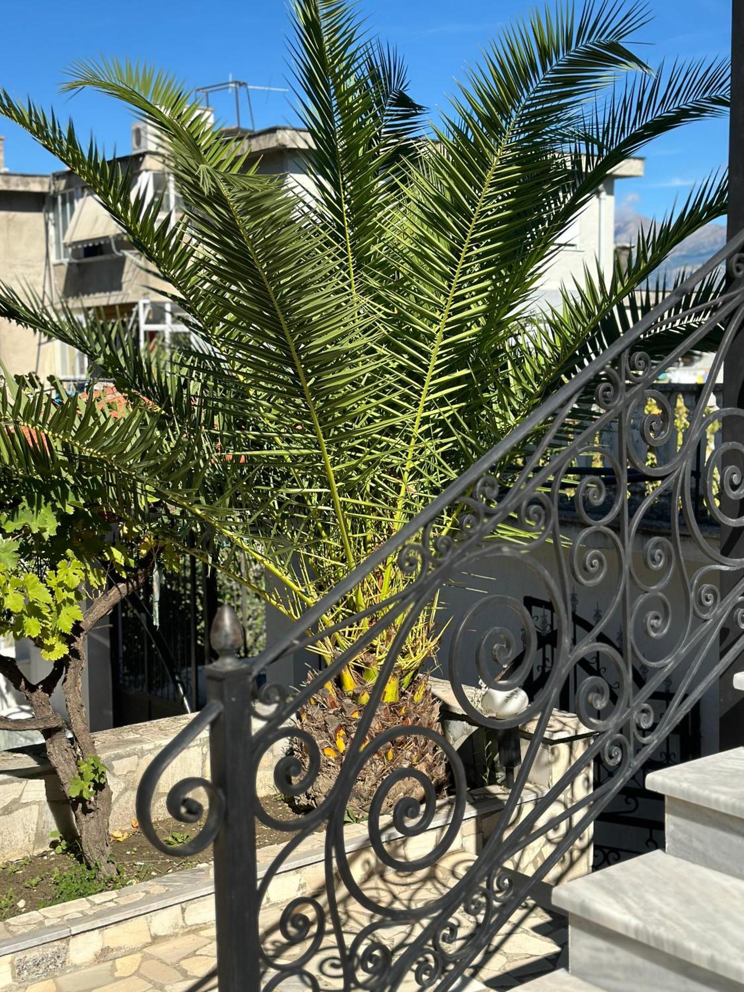 Villa Braho Gjirokastër Esterno foto