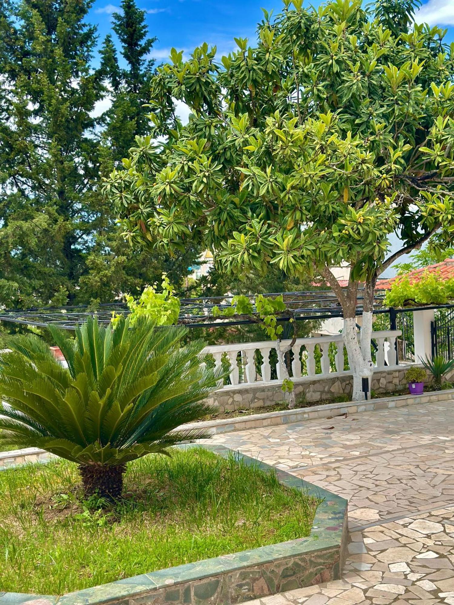 Villa Braho Gjirokastër Esterno foto